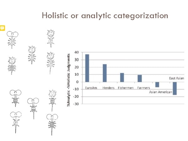 Holistic or analytic categorization