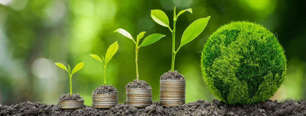Sustainability Funding Policy