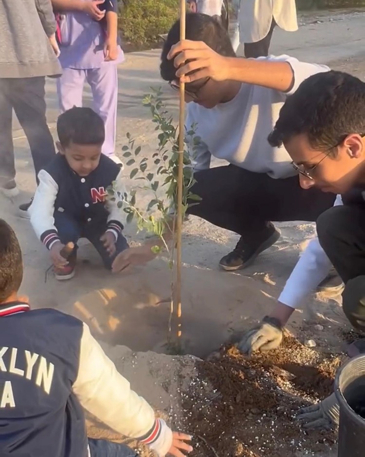 plant trees 4.jpeg