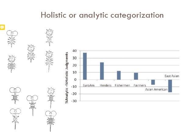 Holistic or analytic categorization
